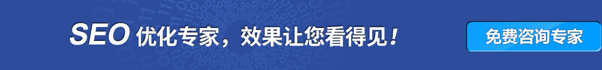 SEO关键词排名优化，效果让您看得见